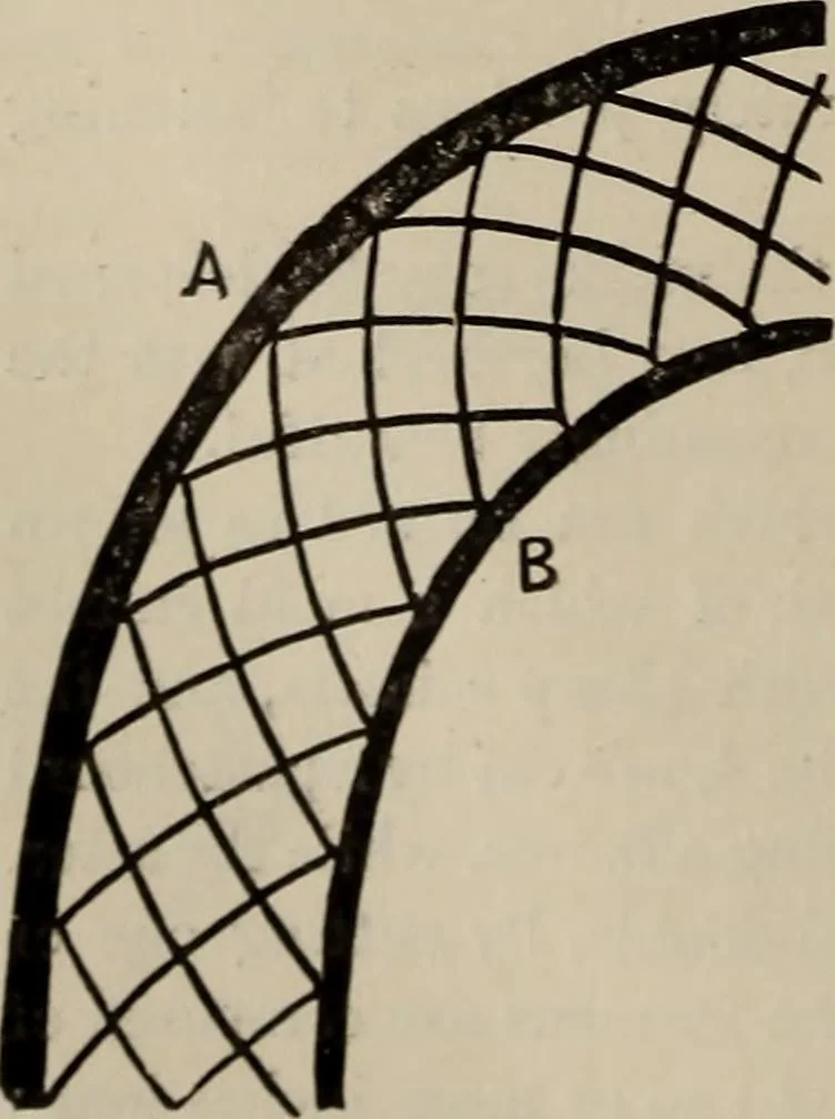 An illustration from Household elegancies : suggestions in household art and tasteful home decorations, 1876, leaf 125