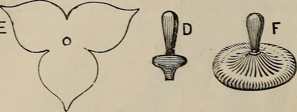 An illustration from Household elegancies : suggestions in household art and tasteful home decorations, 1876, leaf 129