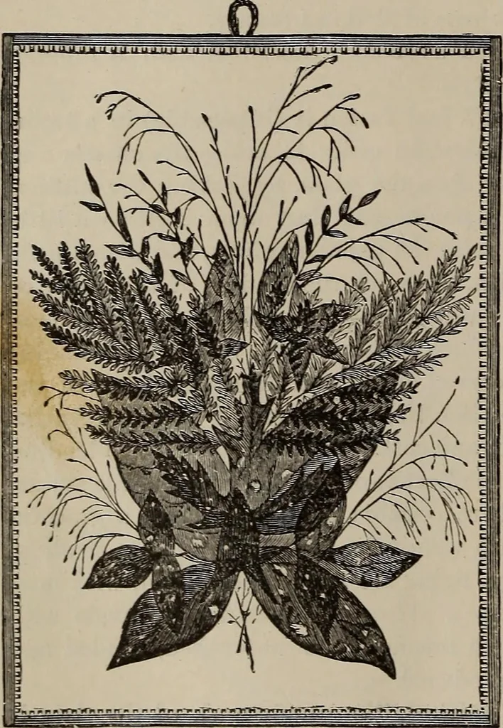 An illustration from Household elegancies : suggestions in household art and tasteful home decorations, 1876, leaf 13