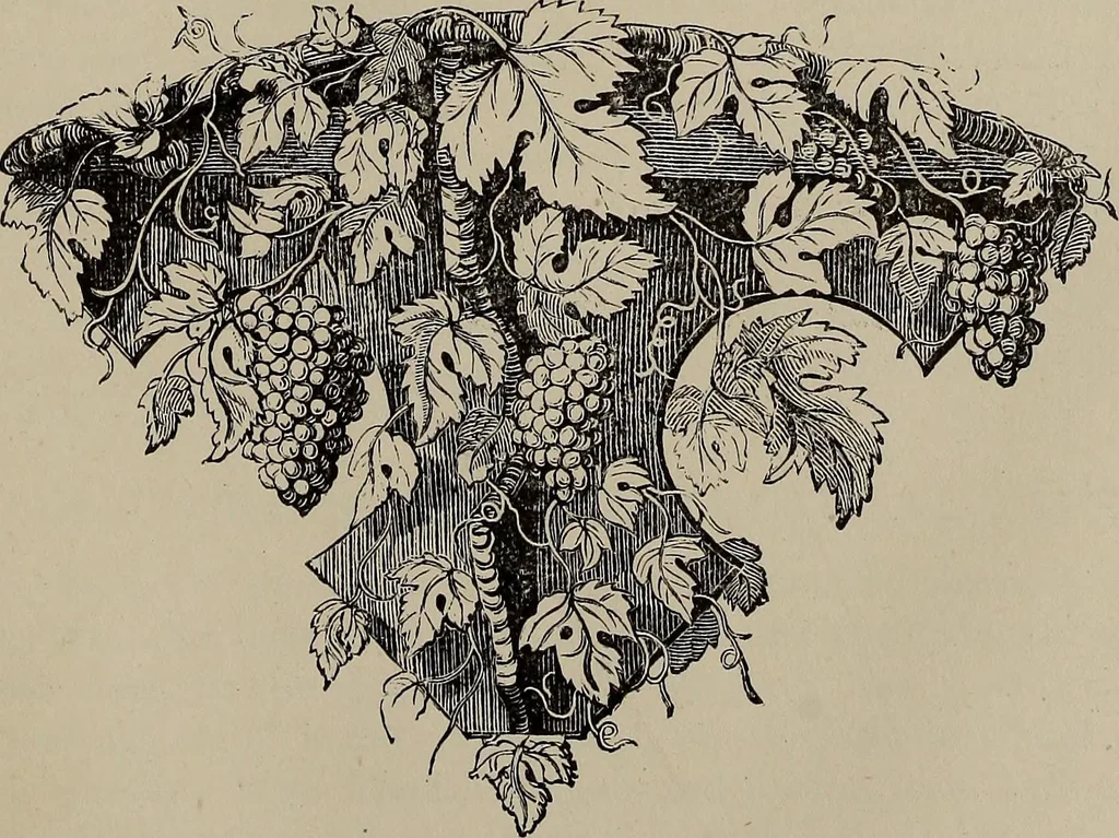 An illustration from Household elegancies : suggestions in household art and tasteful home decorations, 1876, leaf 140