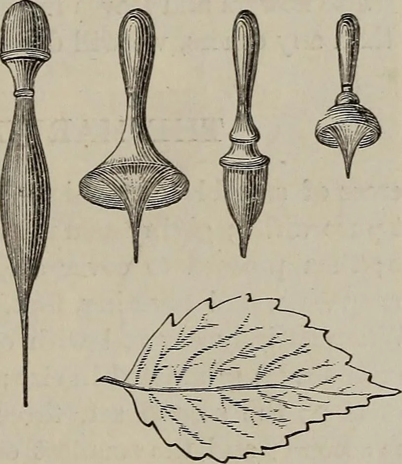 An illustration from Household elegancies : suggestions in household art and tasteful home decorations, 1876, leaf 182