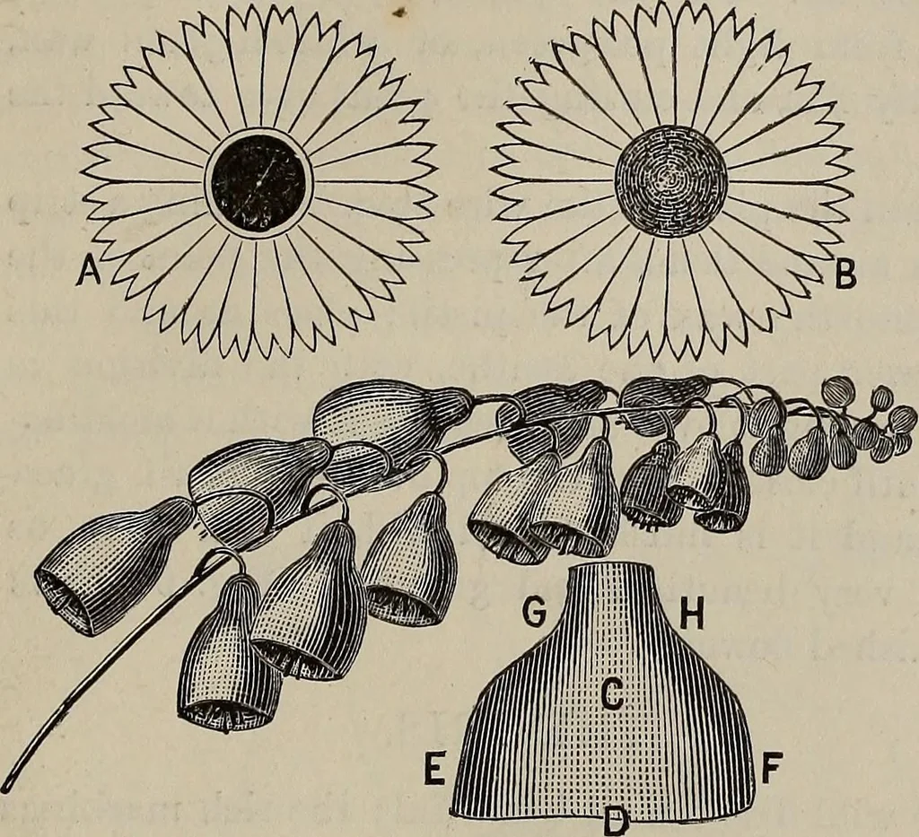An illustration from Household elegancies : suggestions in household art and tasteful home decorations, 1876, leaf 190