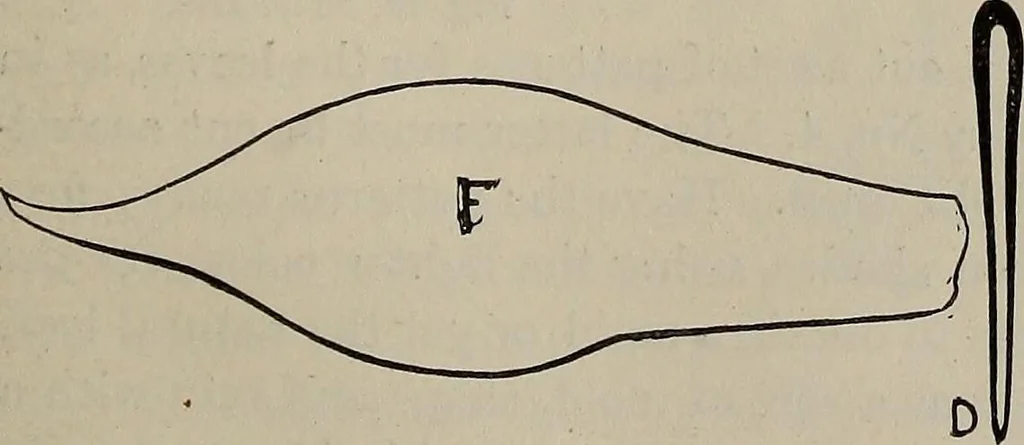 An illustration from Household elegancies : suggestions in household art and tasteful home decorations, 1876, leaf 190