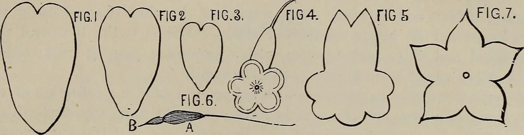 An illustration from Household elegancies : suggestions in household art and tasteful home decorations, 1876, leaf 192