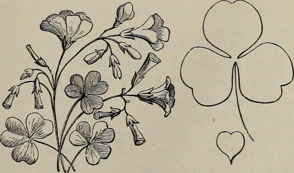 An illustration from Household elegancies : suggestions in household art and tasteful home decorations, 1876, leaf 192