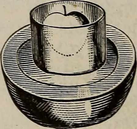 An illustration from Household elegancies : suggestions in household art and tasteful home decorations, 1876, leaf 195