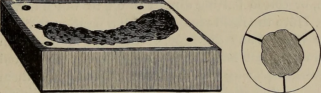 An illustration from Household elegancies : suggestions in household art and tasteful home decorations, 1876, leaf 196