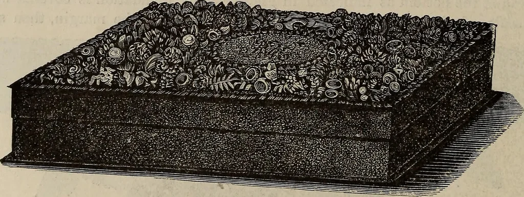 An illustration from Household elegancies : suggestions in household art and tasteful home decorations, 1876, leaf 231