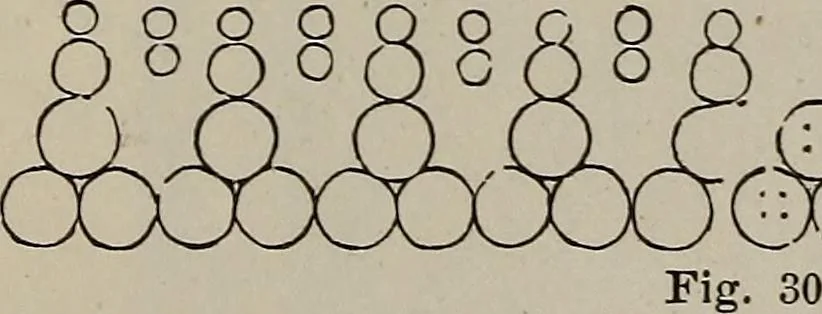 An illustration from Household elegancies : suggestions in household art and tasteful home decorations, 1876, leaf 286