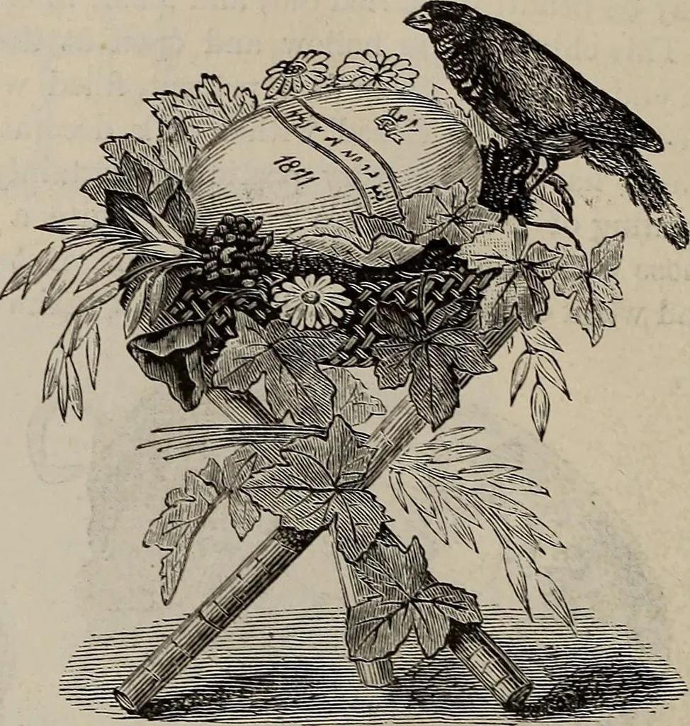 An illustration from Household elegancies : suggestions in household art and tasteful home decorations, 1876, leaf 289