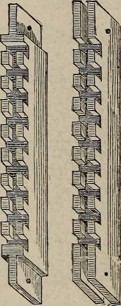 An illustration from Household elegancies : suggestions in household art and tasteful home decorations, 1876, leaf 295