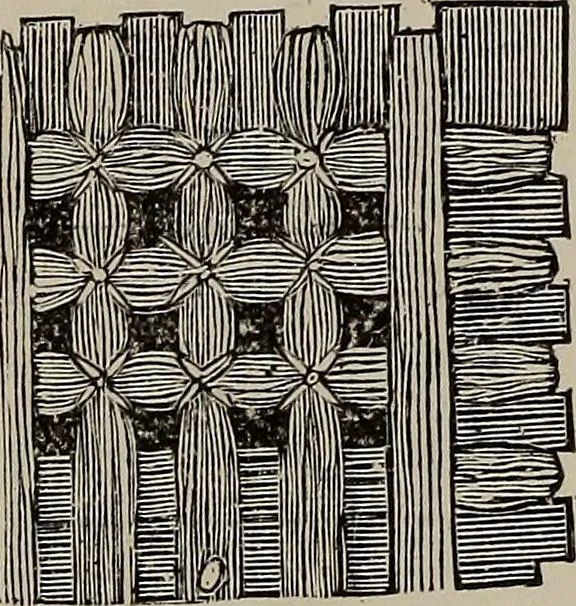 An illustration from Household elegancies : suggestions in household art and tasteful home decorations, 1876, leaf 296