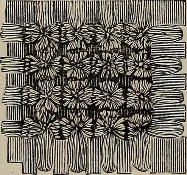 An illustration from Household elegancies : suggestions in household art and tasteful home decorations, 1876, leaf 296
