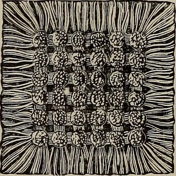 An illustration from Household elegancies : suggestions in household art and tasteful home decorations, 1876, leaf 296
