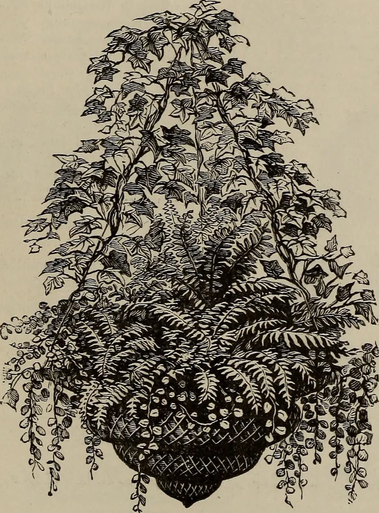An illustration from Household elegancies : suggestions in household art and tasteful home decorations, 1876, leaf 306