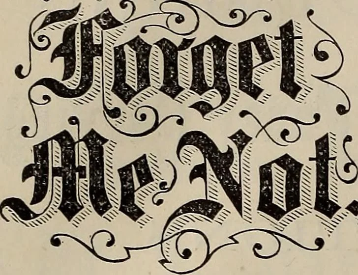 An illustration from Household elegancies : suggestions in household art and tasteful home decorations, 1876, leaf 309