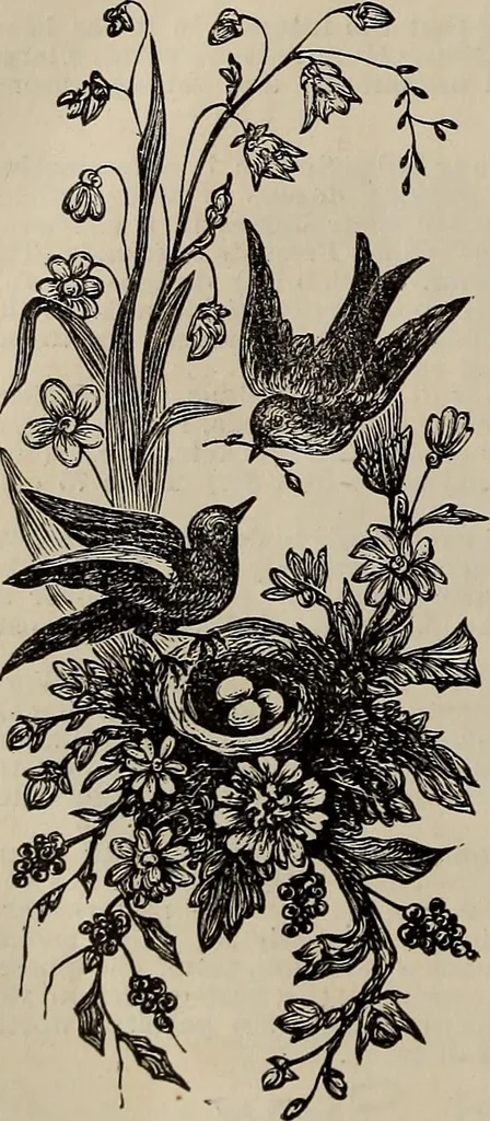 An illustration from Household elegancies : suggestions in household art and tasteful home decorations, 1876, leaf 309