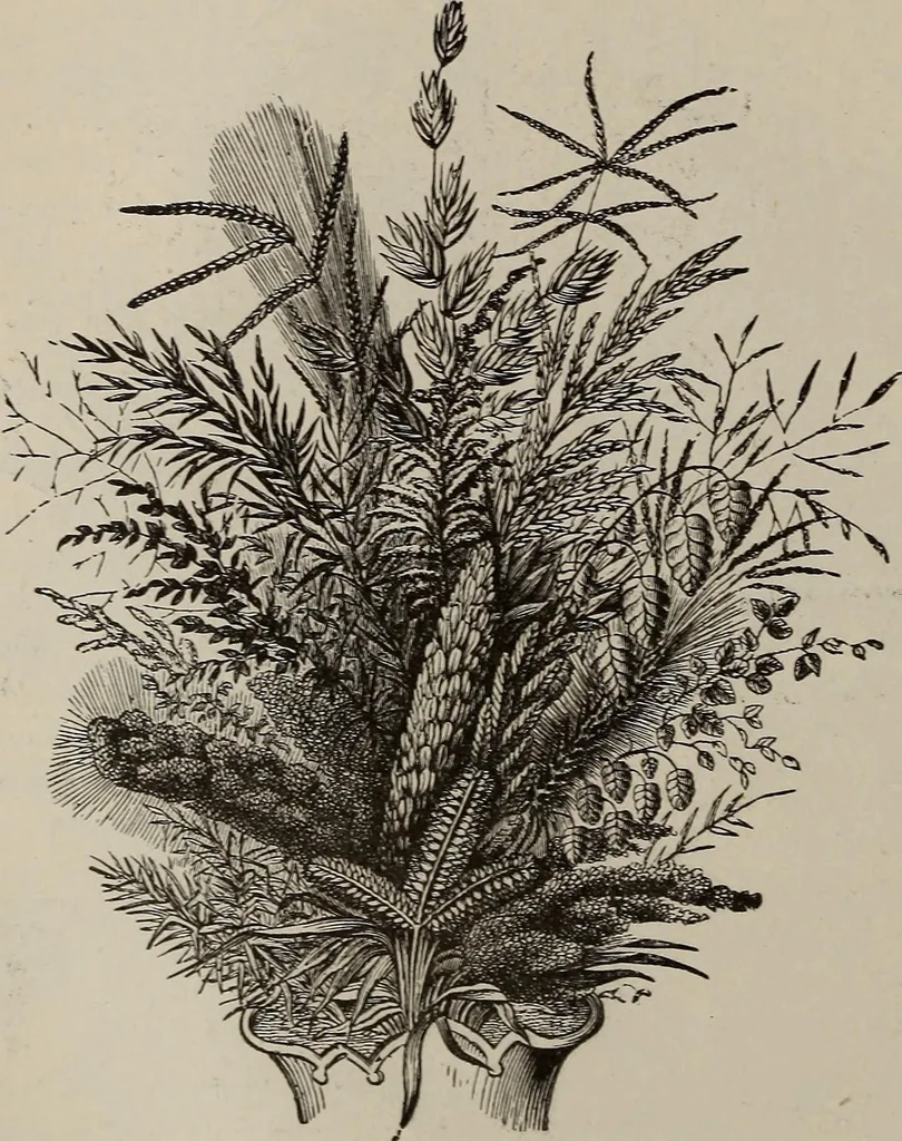 An illustration from Household elegancies : suggestions in household art and tasteful home decorations, 1876, leaf 53
