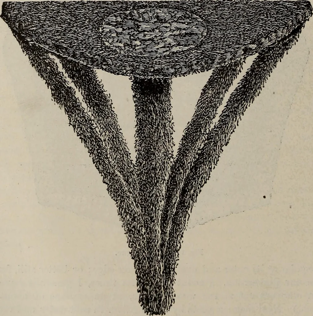 An illustration from Household elegancies : suggestions in household art and tasteful home decorations, 1876, leaf 59