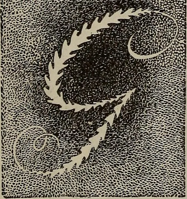 An illustration from Household elegancies : suggestions in household art and tasteful home decorations, 1876, leaf 70