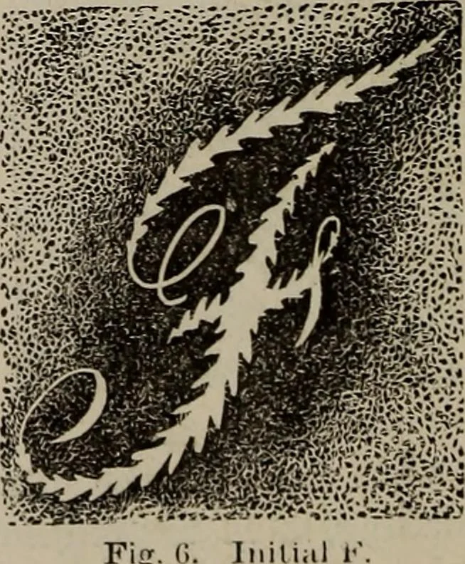 An illustration from Household elegancies : suggestions in household art and tasteful home decorations, 1876, leaf 71