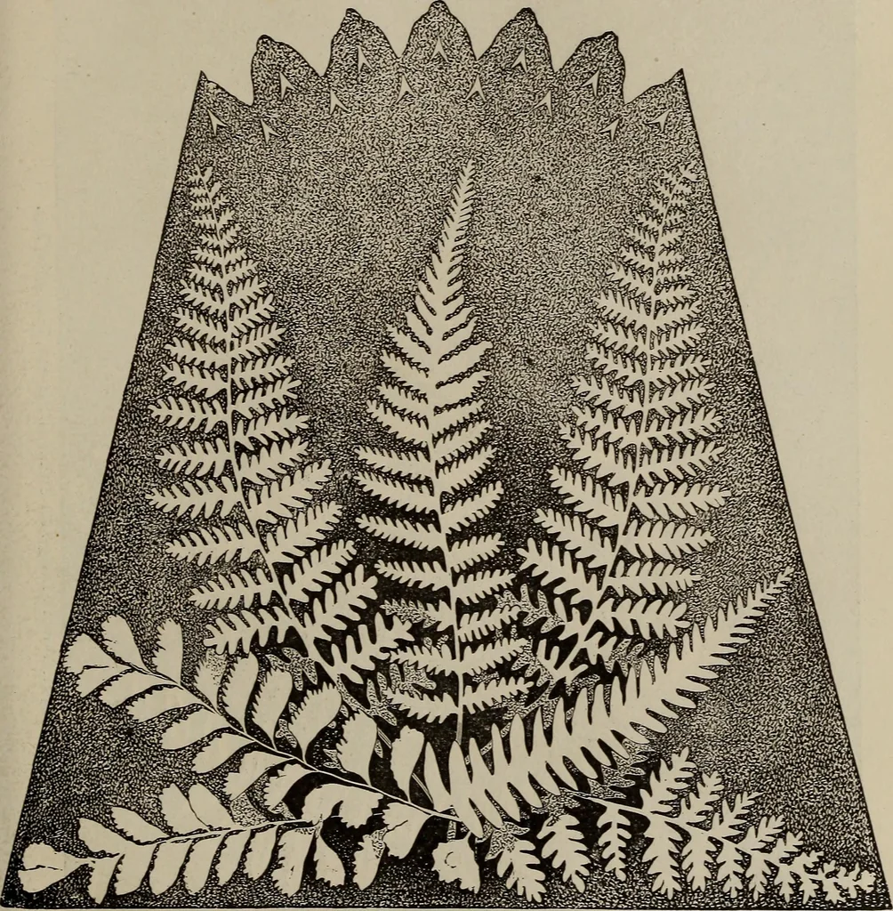 An illustration from Household elegancies : suggestions in household art and tasteful home decorations, 1876, leaf 72