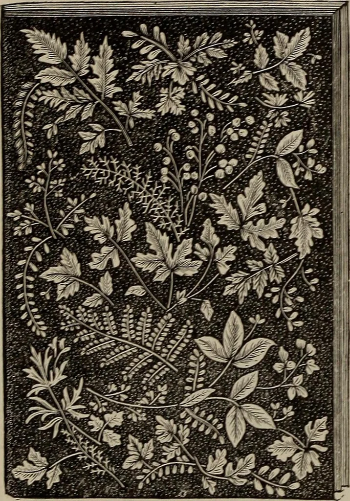 An illustration from Household elegancies : suggestions in household art and tasteful home decorations, 1876, leaf 80