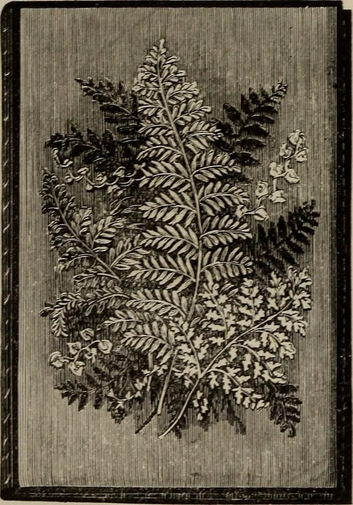An illustration from Household elegancies : suggestions in household art and tasteful home decorations, 1876, leaf 80
