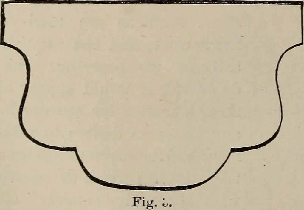 An illustration from Household elegancies : suggestions in household art and tasteful home decorations, 1876, leaf 83