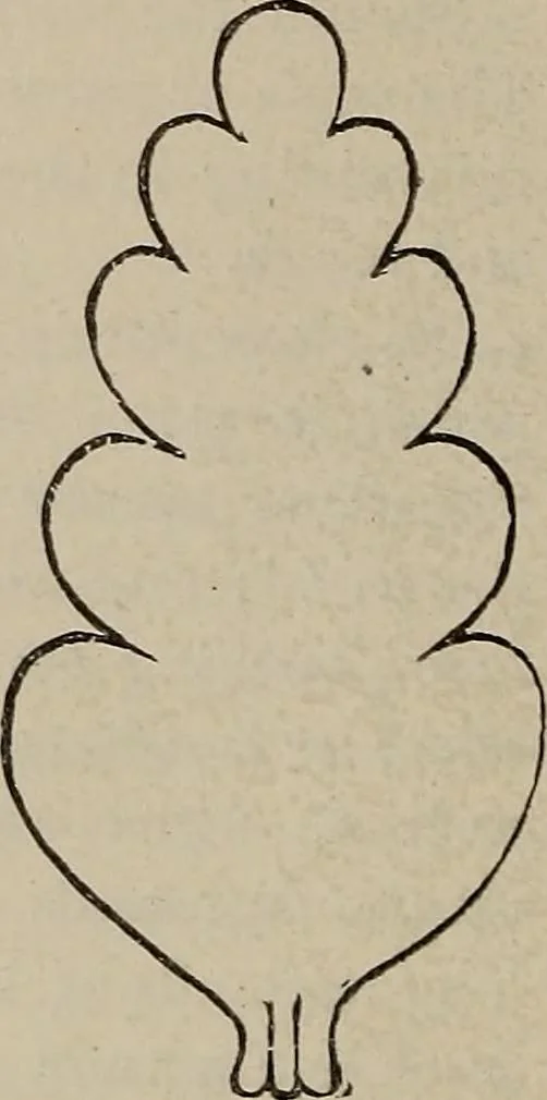 An illustration from Household elegancies : suggestions in household art and tasteful home decorations, 1876, leaf 97