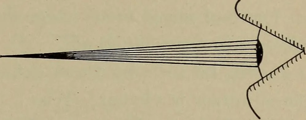 An illustration from Household physics, 1919, leaf 108