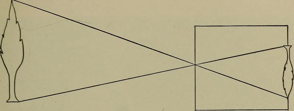 An illustration from Household physics, 1919, leaf 128