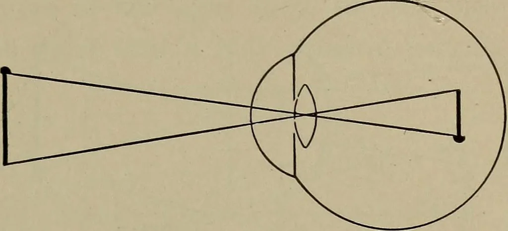 An illustration from Household physics, 1919, leaf 132