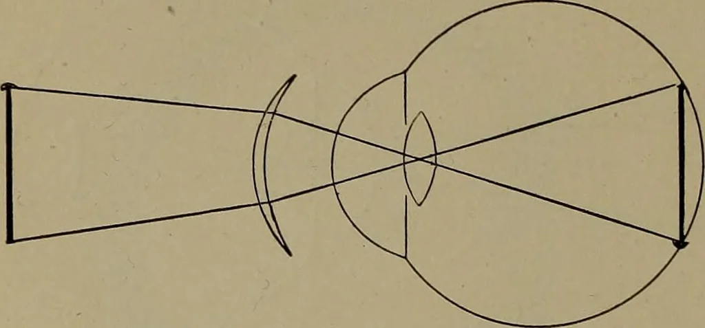 An illustration from Household physics, 1919, leaf 133