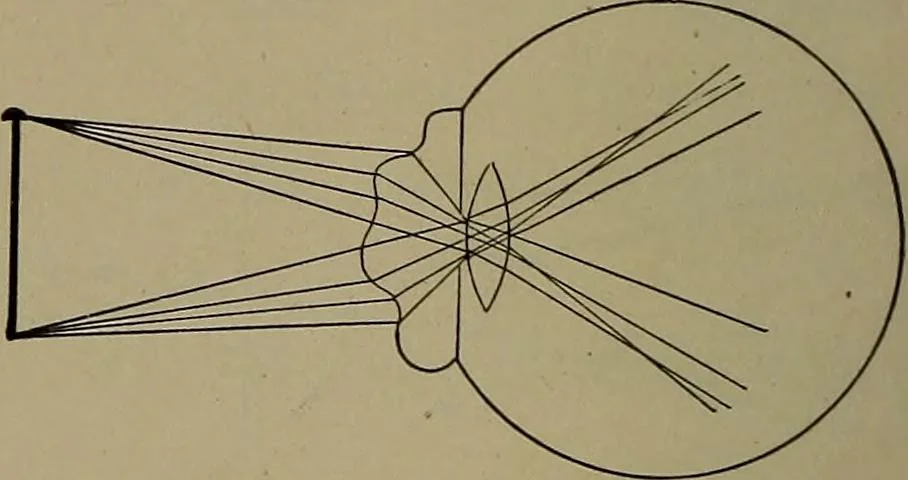 An illustration from Household physics, 1919, leaf 133