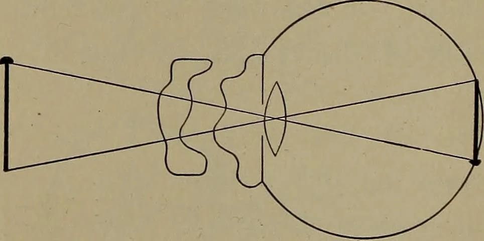 An illustration from Household physics, 1919, leaf 133