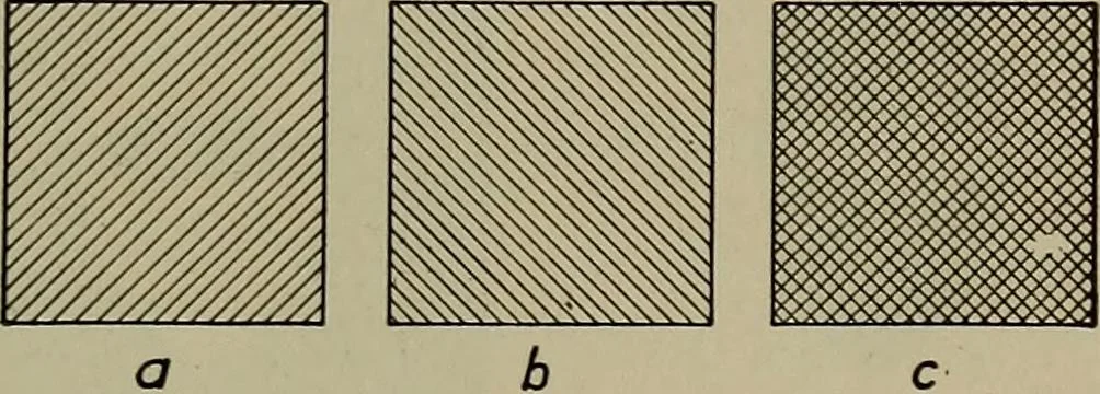 An illustration from Household physics, 1919, leaf 152