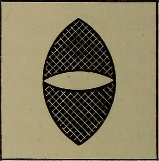 An illustration from Household physics, 1919, leaf 153
