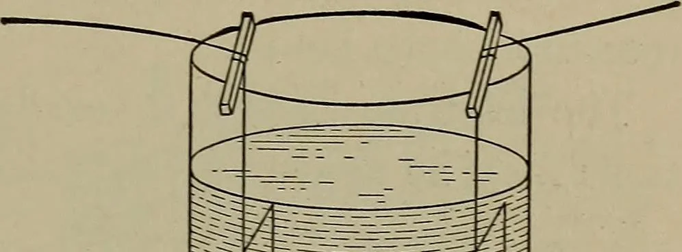 An illustration from Household physics, 1919, leaf 232