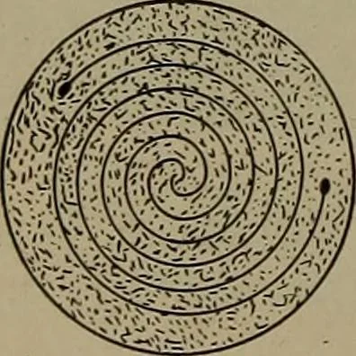 An illustration from Household physics, 1919, leaf 233