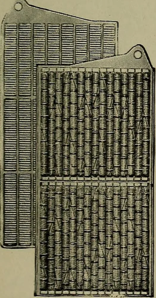 An illustration from Household physics, 1919, leaf 234