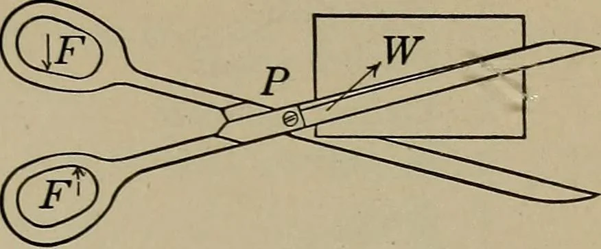An illustration from Household physics, 1919, leaf 248