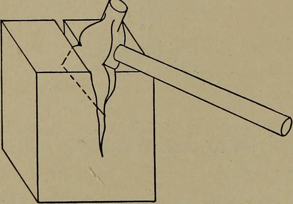An illustration from Household physics, 1919, leaf 257