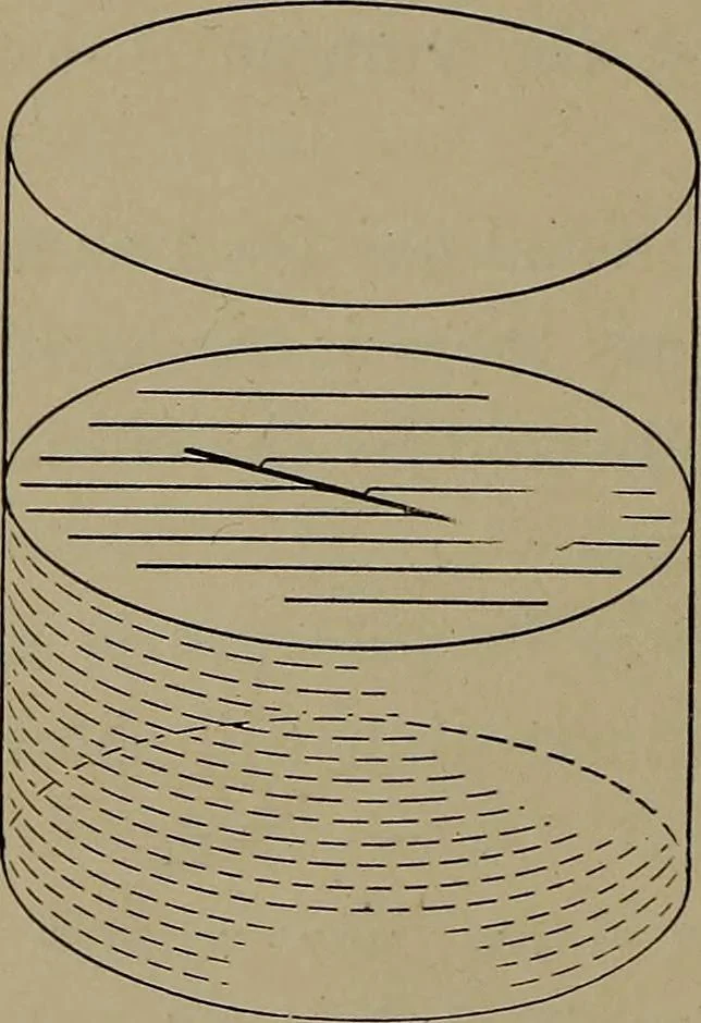 An illustration from Household physics, 1919, leaf 285