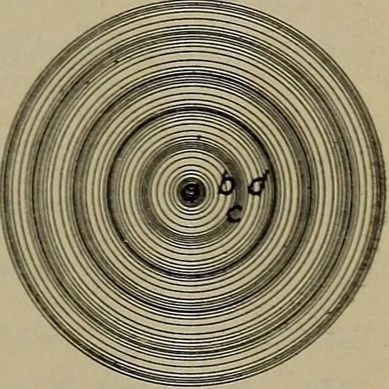 An illustration from Household physics, 1919, leaf 86