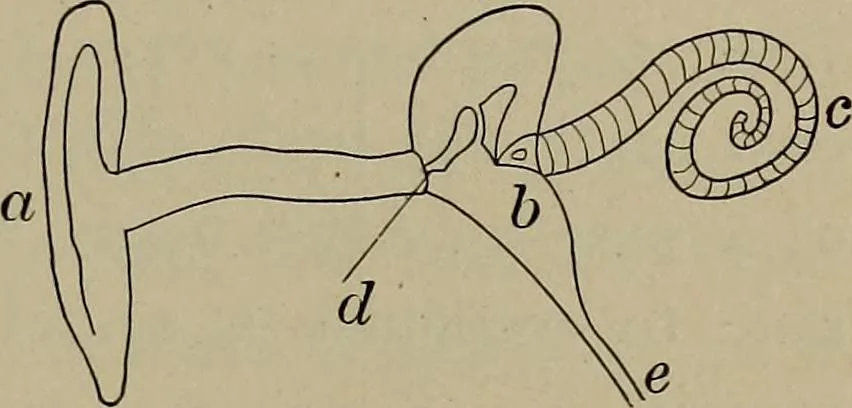 An illustration from Household physics, 1919, leaf 88