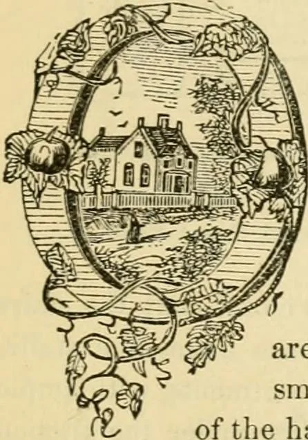 An illustration from The house, a manual of rural architecture, or, How to build country houses and out-buildings : embracing the origin and meaning of the house ; the art of house-building, including planning, style and construction ; desings and descriptions of cottages farm-houses, villas and out-buildings, of various cost and in the different styles of architecture, etc., etc. ; and an appendix containing recipes for paints and washes, stucco, rough-cast, etc. ; and instructions for roofing, building with rough stone, unburnt brick, balloon frames, and the concrete or gravel wall ; with numerous original plans, 1866, leaf 60