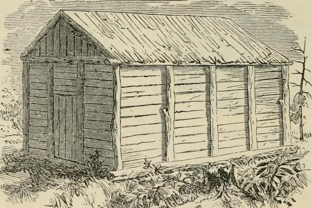 An illustration from The house: a manual of rural architecture: or, How to build country houses and out-buildings .., 1866, leaf 11