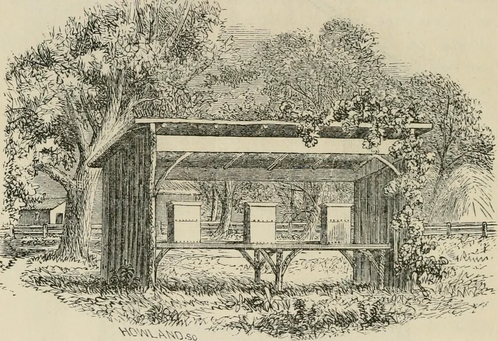 An illustration from The house: a manual of rural architecture: or, How to build country houses and out-buildings .., 1866, leaf 151