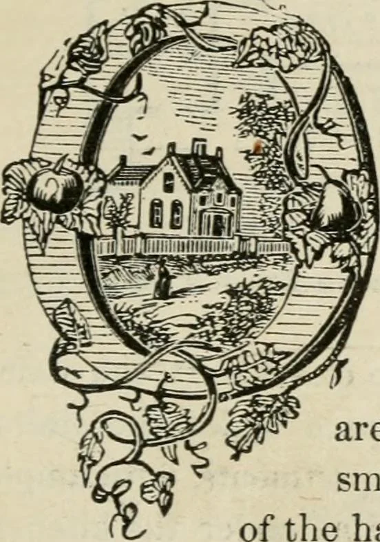 An illustration from The house: a manual of rural architecture: or, How to build country houses and out-buildings .., 1866, leaf 58